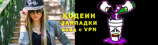 хмурый Алзамай