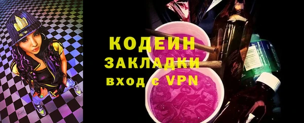 хмурый Алзамай