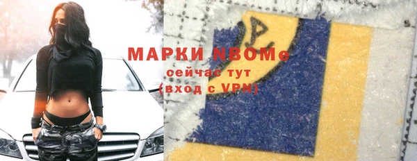хмурый Алзамай