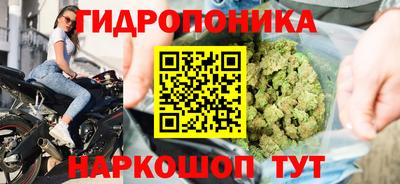 дмт Тверь