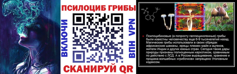 Псилоцибиновые грибы прущие грибы  как найти наркотики  MEGA ссылки  Полысаево 