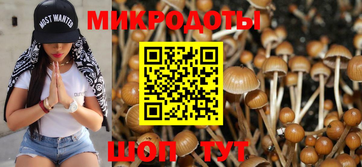 Псилоцибиновые грибы мухоморы Полысаево