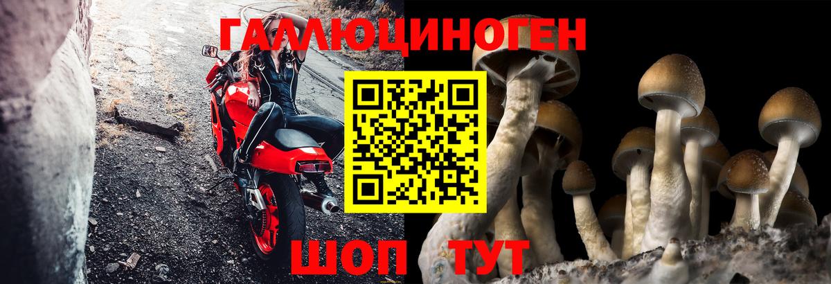 Псилоцибиновые грибы прущие грибы  Вход с VPN  Полысаево 