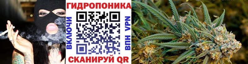 сколько стоит  Полысаево  Бошки Шишки конопля 